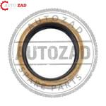 متجر اوتو زاد