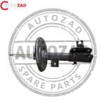 متجر اوتو زاد