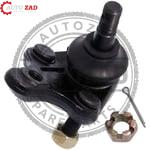 متجر اوتو زاد