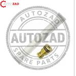 متجر اوتو زاد