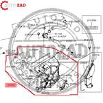 متجر اوتو زاد